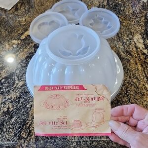 Jello N Serve Mold - NWOT
